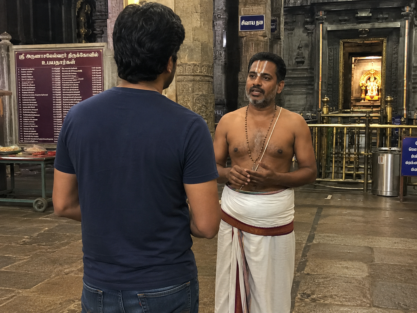 Research consultation with certified Acharya scholar